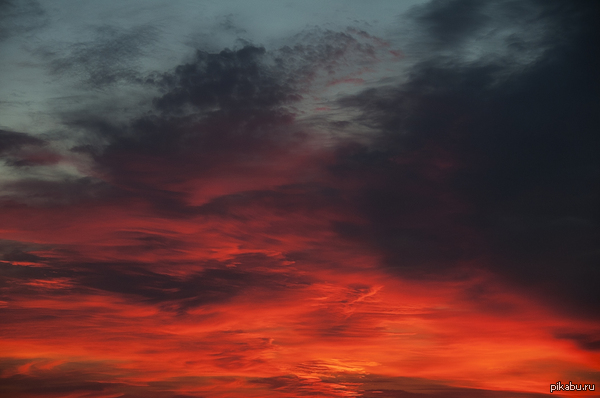 ���� ����� ����