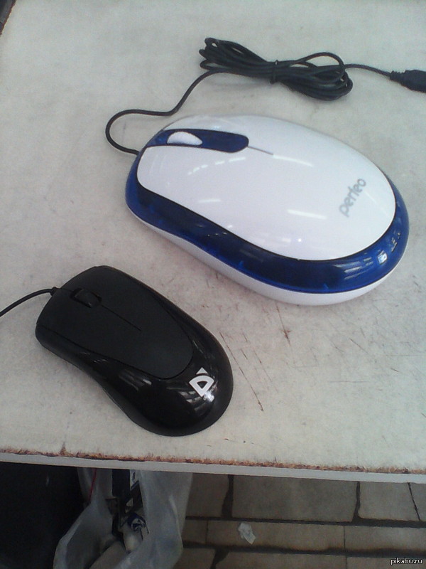 ���� �������� ��������, ���� ����������