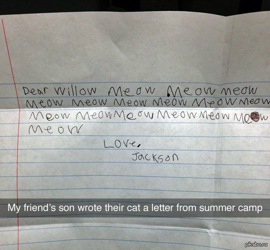 Meow meow