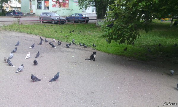 �������� ���!