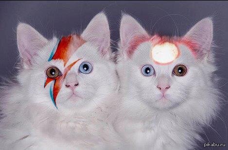 ����� ����� ������ ^^