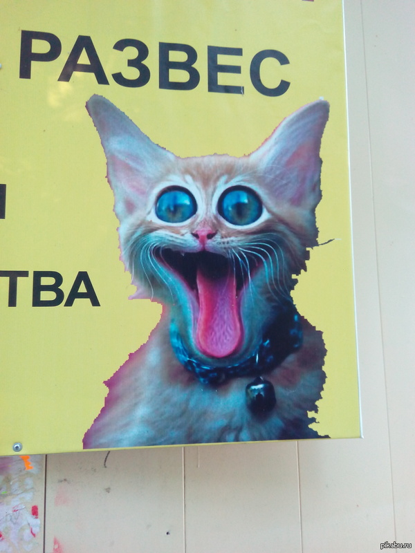 Томский креатив | Пикабу