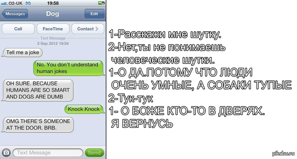 Переписка собаки и хозяина - Моё, СМС, Собака, Человек