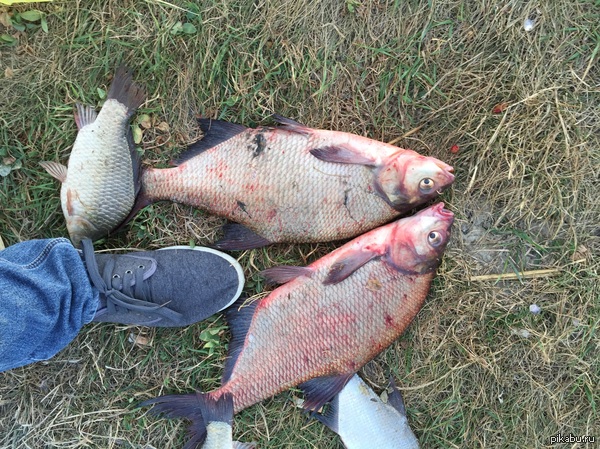 В продолжение моего поста