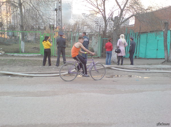 ��� 2008 �.