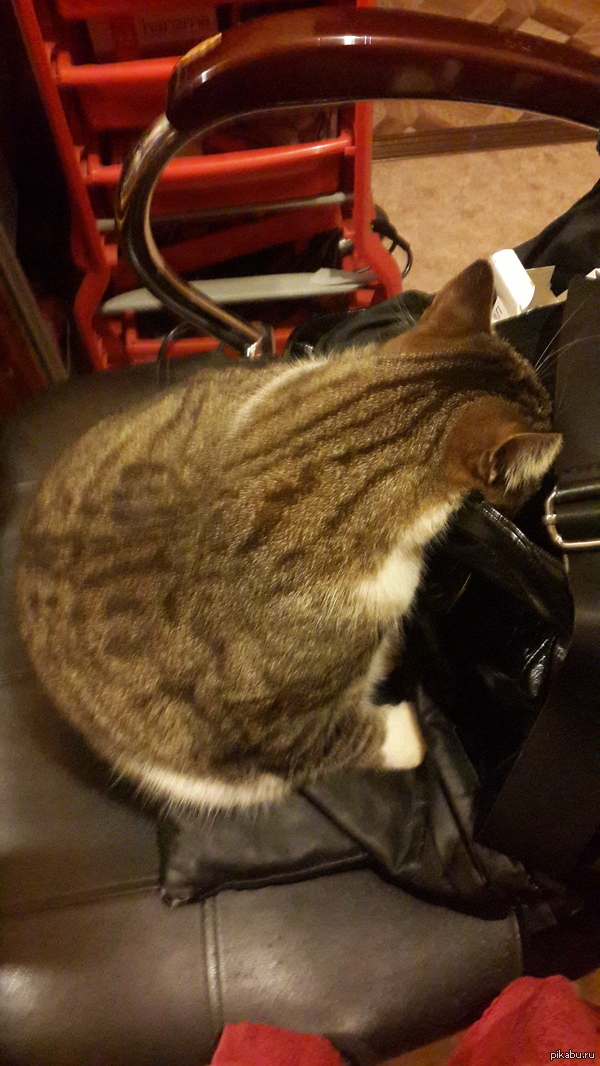 ������ ���������� ���������� ����� � ������