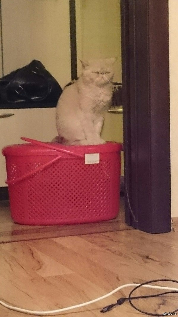 ���������� �������