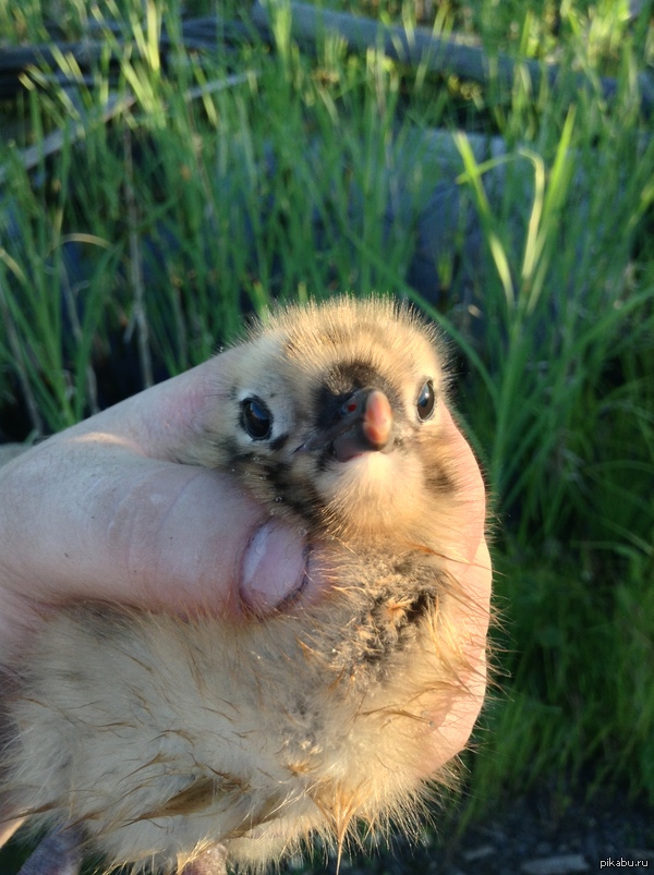 ��� ���� �������� ����� �� ������������ ������.