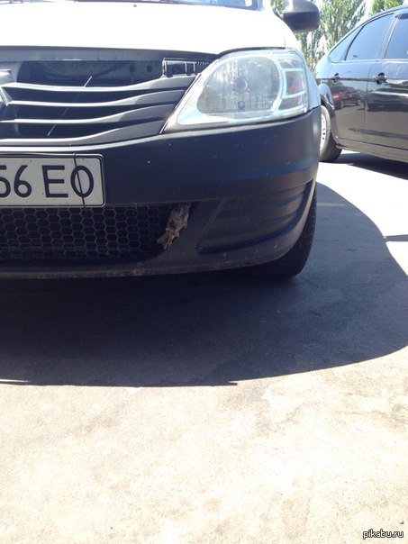 � ����� ����� ������ ���������,�� �������� �����������.