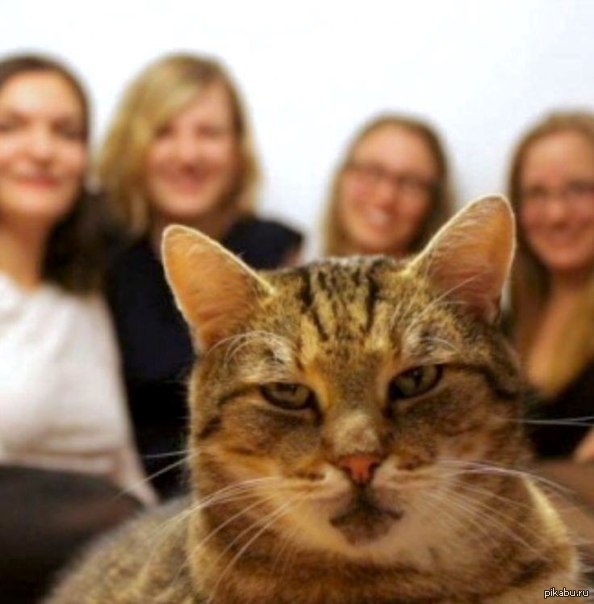 ��������� �����, ��� ������� � ����