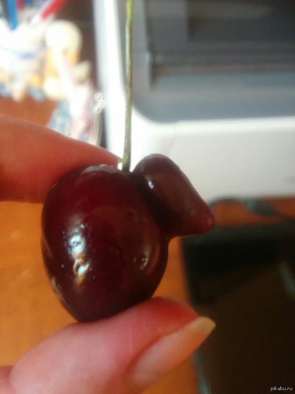 ��� ��������� �������� ��� ������)