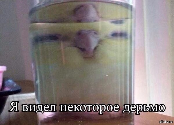 ����� ��������� ������� ��������.