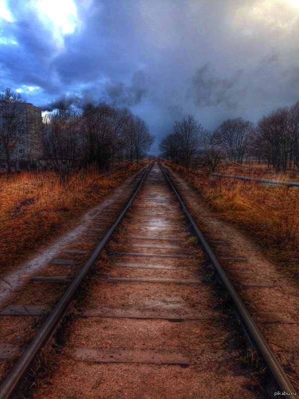 ���� �� iPhone 5C