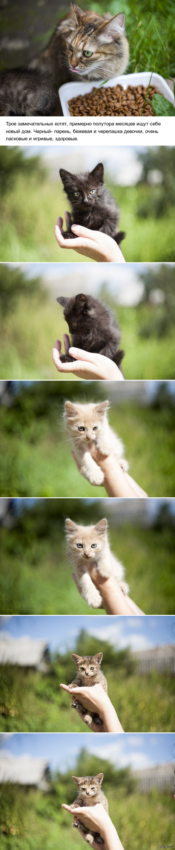 ������ � ������ ���� (������, ���������)