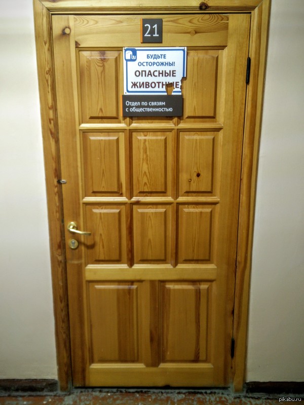 ������� ��� ��������