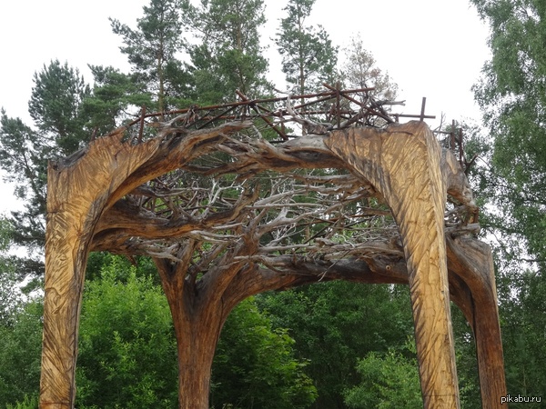 ����� �������� �����