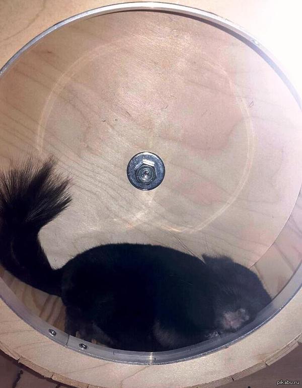 ���� �������...