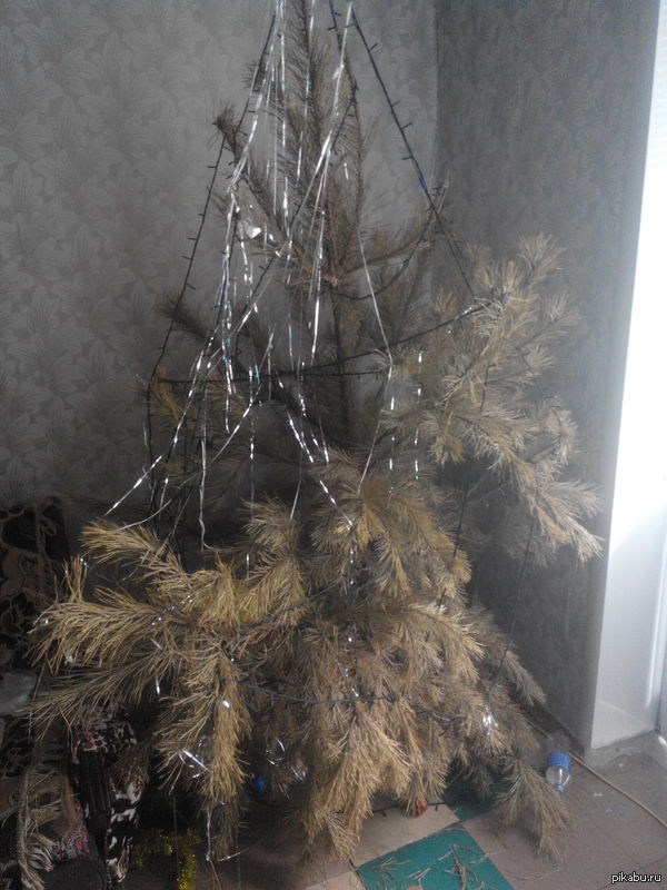 �������� �������, � ���� �����: "������ ����, ������ ����..."