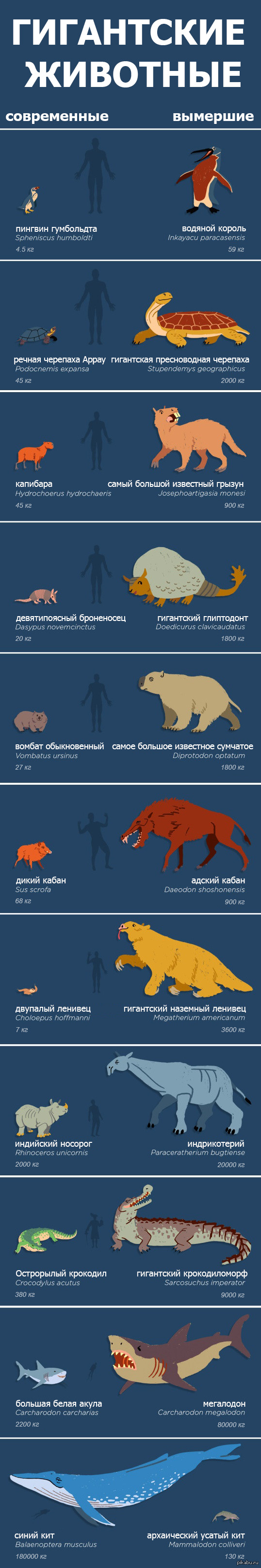 Доисторические животные в сравнении с современными. | Пикабу