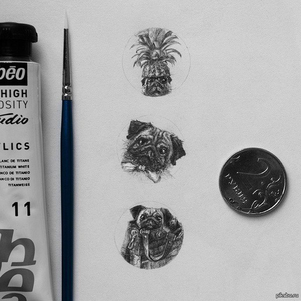 ��������� �����.