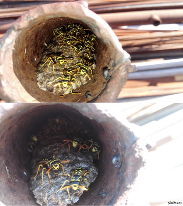 ������ ���� � �����