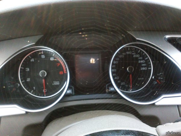 ������ ������� ����� ������ ��� �� ������� � ���� �������.