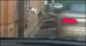      ! 