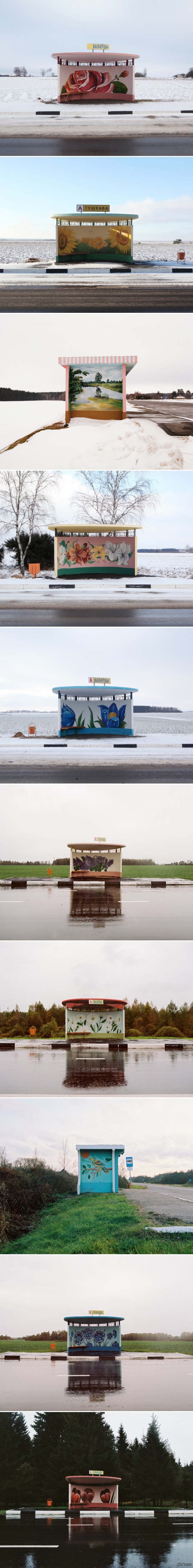 Разнообразие белорусских остановок