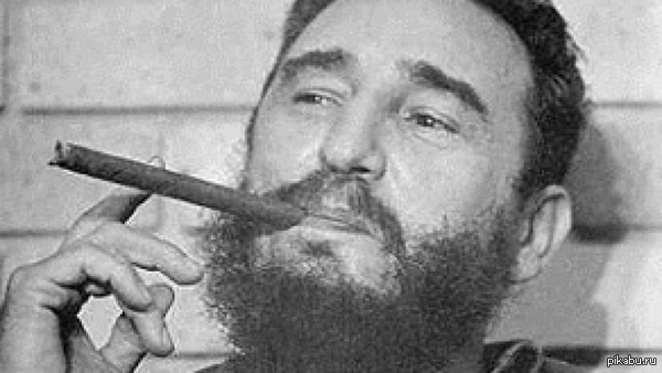   ,  !      638 ,    89 .  No pasaran!