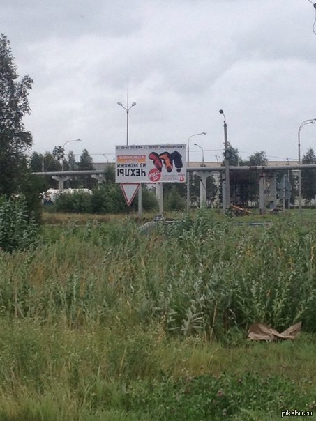 Сегодня в Северодвинске | Пикабу