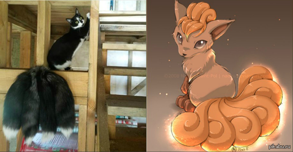 Косплей на Вульпикс =)