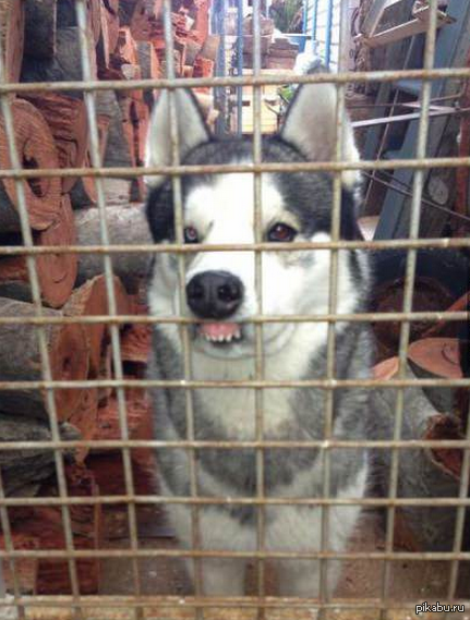 ���������� ������