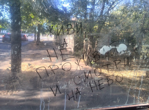 ������� ��������.