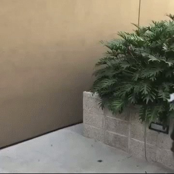  &quot;  &quot;. 