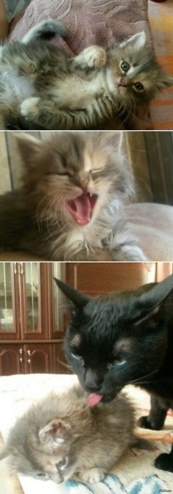 Маленькое счастье!