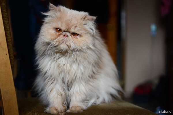 ��� ������� =)