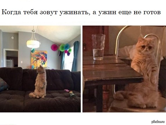 "���� �����!"