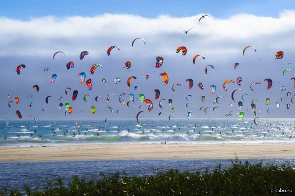"Фотография кайтеров на одном из пляжей Калифорнии"