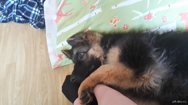 ���! ��������� ������� �� ��������!