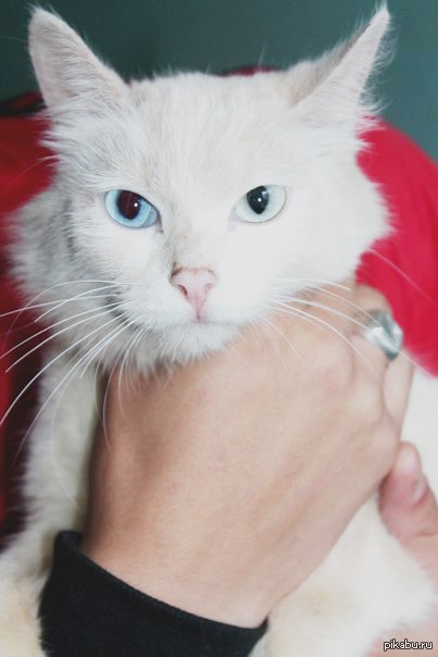 ��� �� �� �� ��������, ���� � ������...���� ���