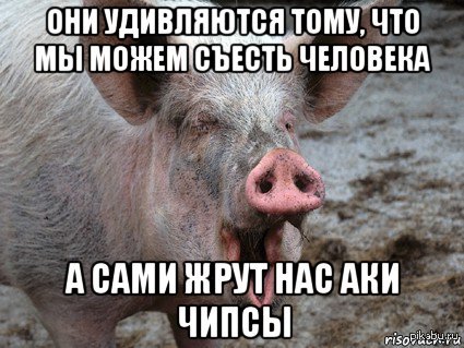 � �������.