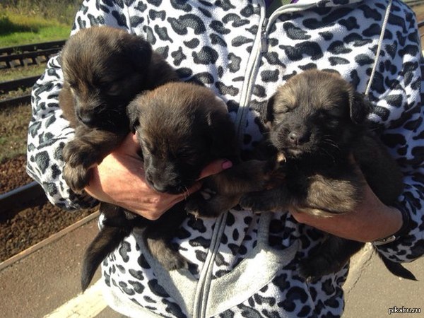 ����� ������ ������ ��������� ������� � ������� ������� ����� (����� ���������).