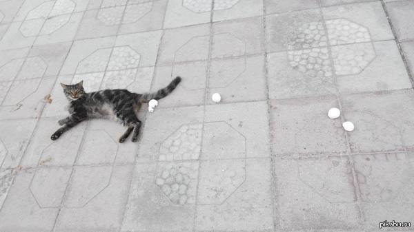      ,         ...