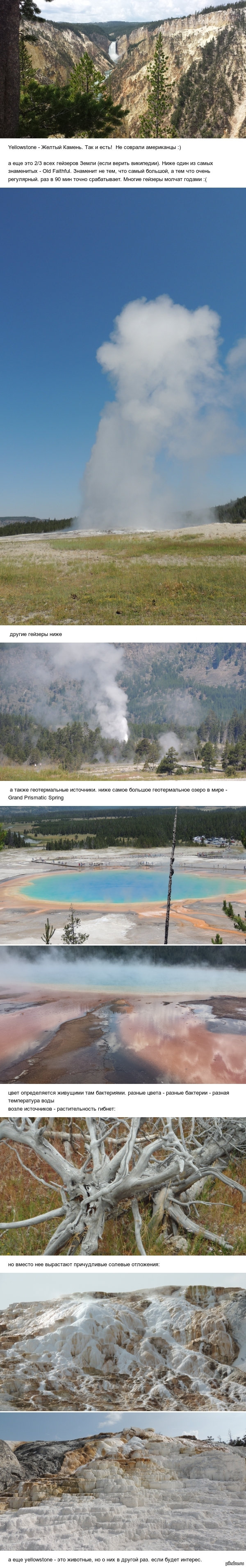    Yellowstone