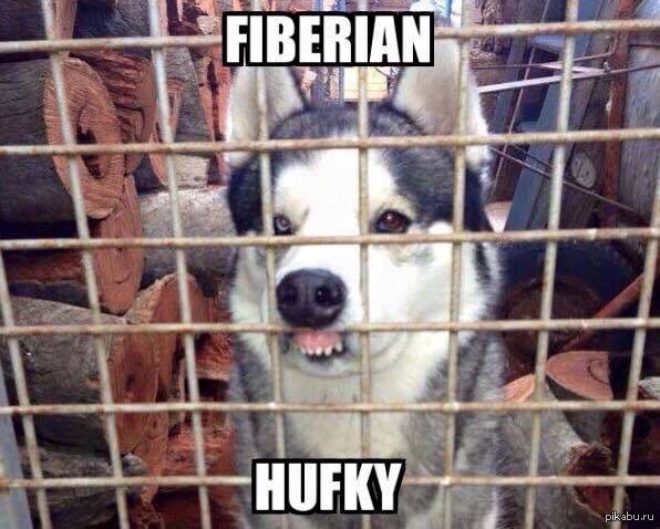 ����� ����