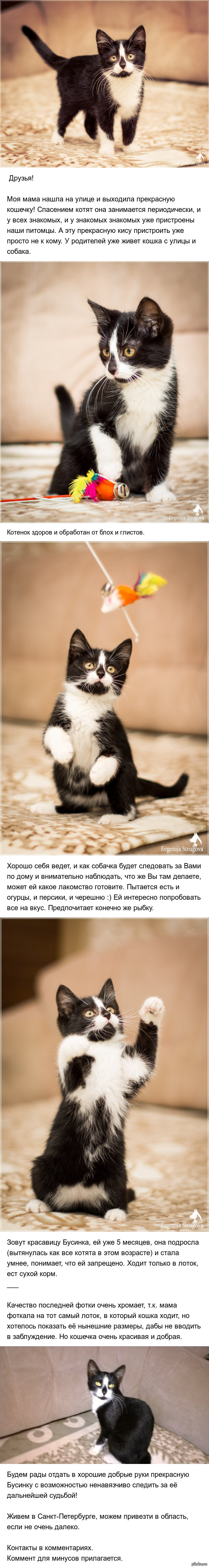 ������ ����� ���� ������ ����! ���.