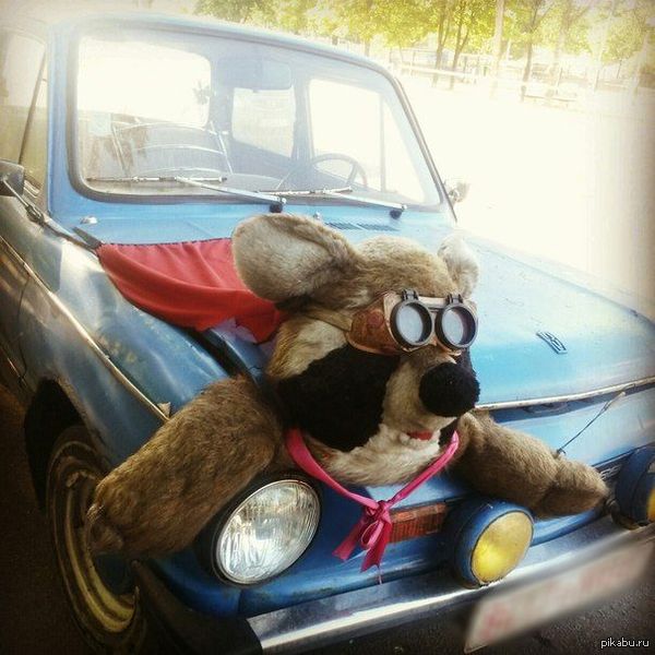 ����� ��� �������