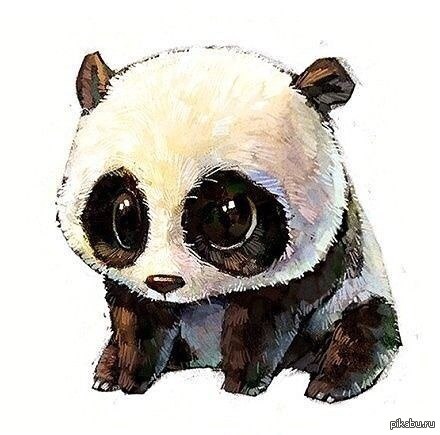 &amp;#128060; &amp;#128060; &amp;#128060; &amp;#127807; &amp;#127807;