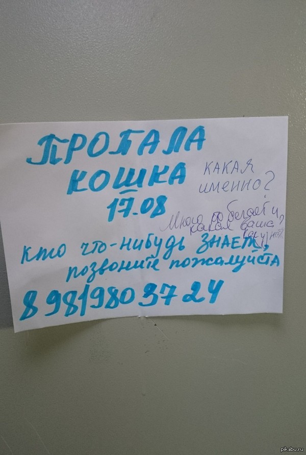 � ����� ���� ����� ������������ ������ :)