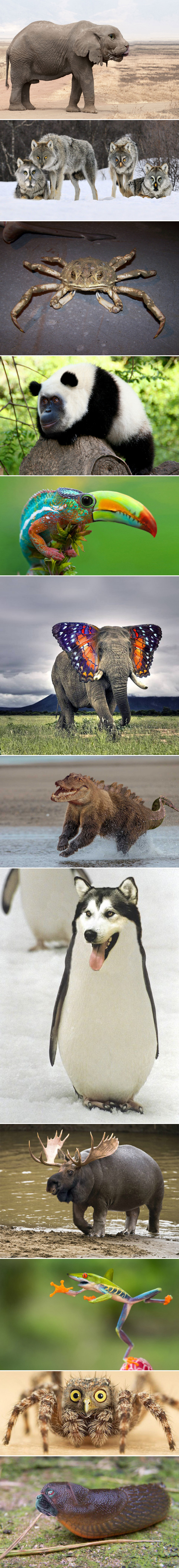 ��������, ����������� �� ���� ��� ������ ��������